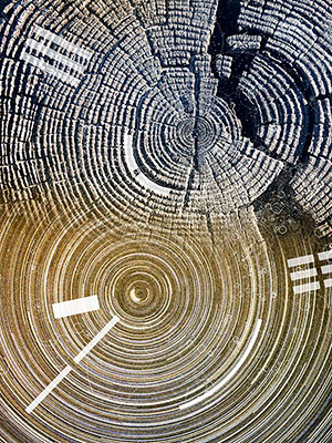 Non-Duality Non-Duality